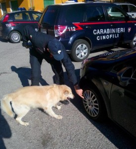 Unità cinofila