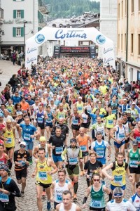cortina dobb run 2