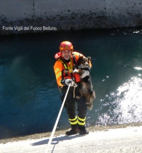 Vigili fuoco animale salvato