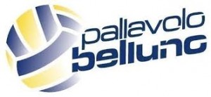PALLAVOLO