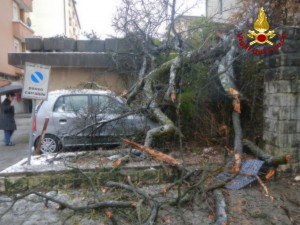 via feltre 027