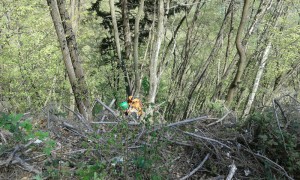 IMG-20160421-WA011