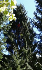 IMG-20160504-WA000
