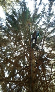 IMG-20160504-WA003