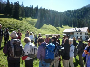 Trekking Cortina Incroda (1)