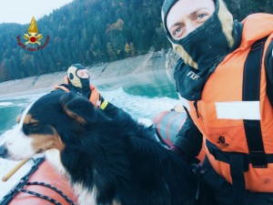 Il cane salvato in Cadore.