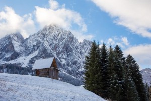 Foto dalla pagina Facebook Boschi a Natale
