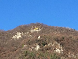 le-ricerche-di-elide-1