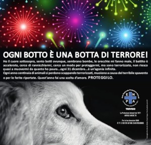 botti-cani