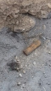 ORDIGNO GRANDE GUERRA ALANO (1)